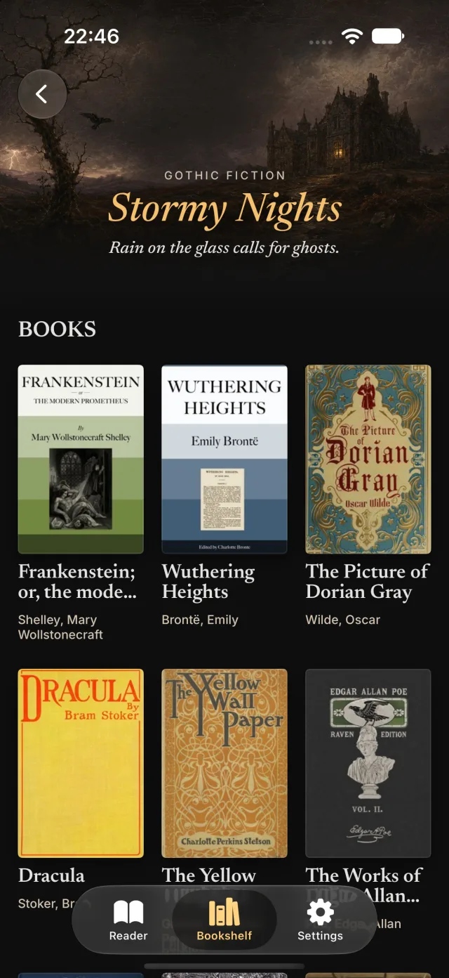 The Stormy Nights shelf of gothic fiction in Oratio